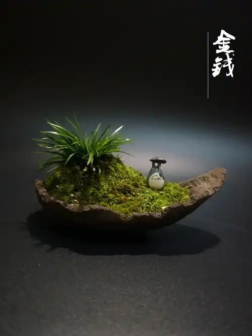 山窗偶闲静无事忆菖蒲#盆景