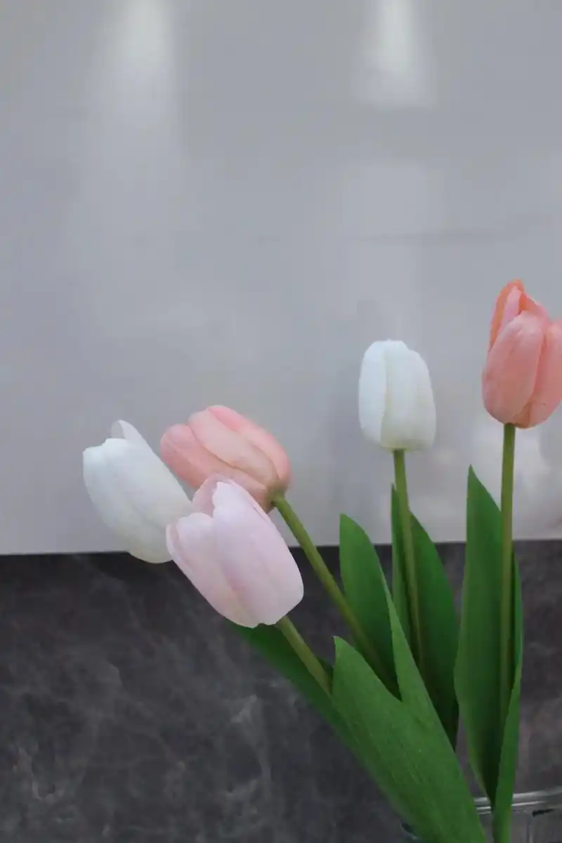 ins风的郁金香太逼真了! 懒人也可以养花17 - 抖音