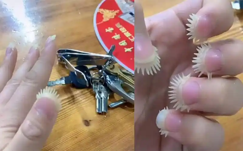 女子将指甲剪成锯齿型,尖锐无比让人瑟瑟发抖:鲁班快要气炸了