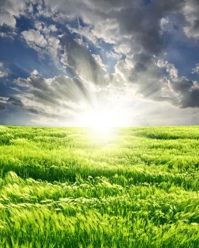 太阳图片_太阳图片大全_全景图片