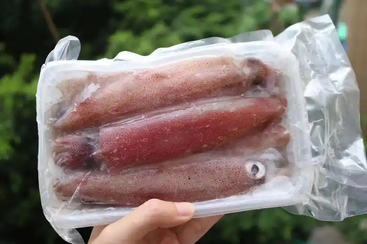 东山岛母鱿鱼 火锅食材新鲜 野生饭管 带籽母管 诚招微供代理商