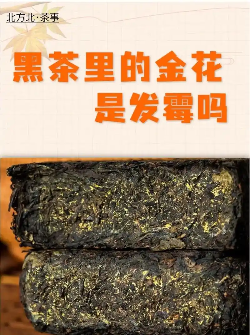金花的作用 1.提高茶叶的品质 2.抗 - 抖音