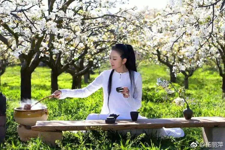杨丽萍晒照穿越花海,一袭白裙~仙气逼人