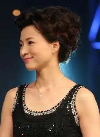 组图明星发型知性女主持董卿11款优雅美发6