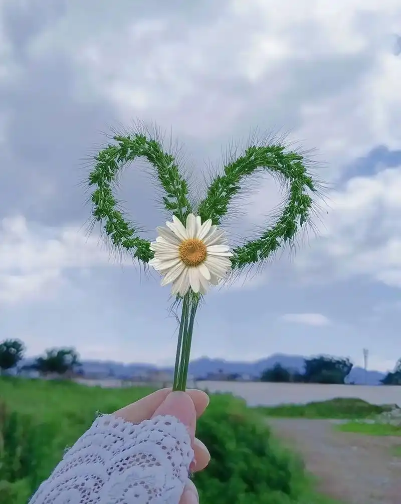 好看又治愈的背景图#高质量朋友圈背景图#微信朋友圈背景图#今 - 抖音