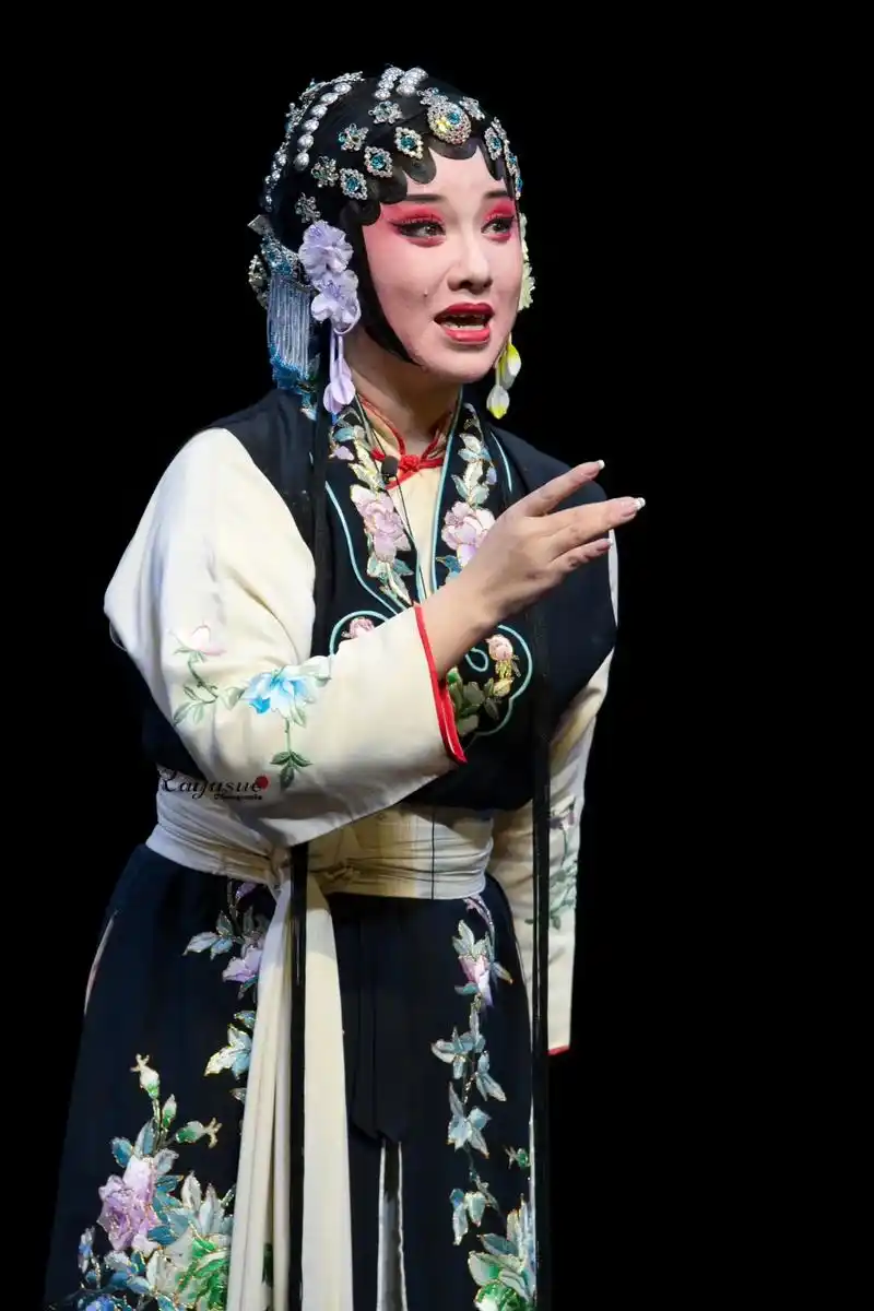 徐思佳 | 桃花扇·一戏两看.李贞丽 07 逢舟江苏省昆剧 - 抖音