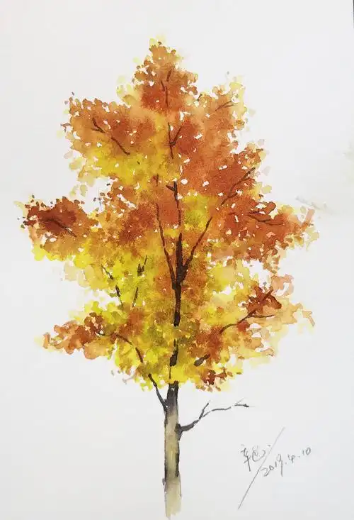 一组秋树|手绘水彩大树 - 简书