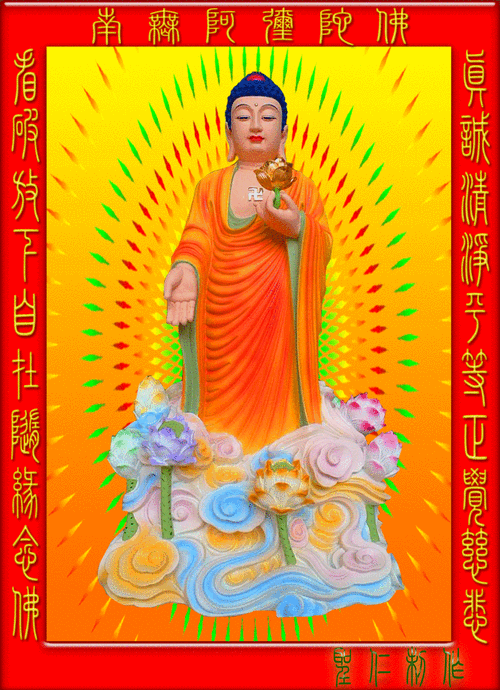 1000_1380竖版 竖屏gif 动态图 动图