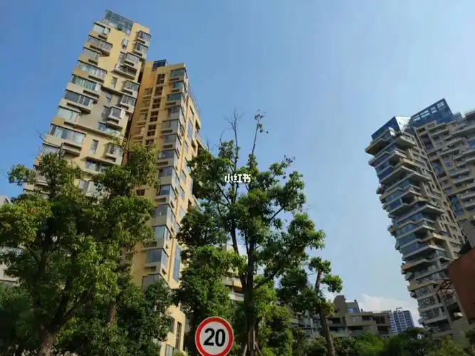 麓湖生态城云树小高层朝南好房