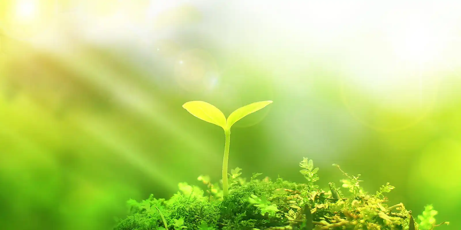 教学课件用背景图片