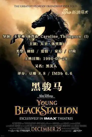 "黑骏马"是一匹漂亮的优种黑马,从小生活在贵族人家,受过良好的训练