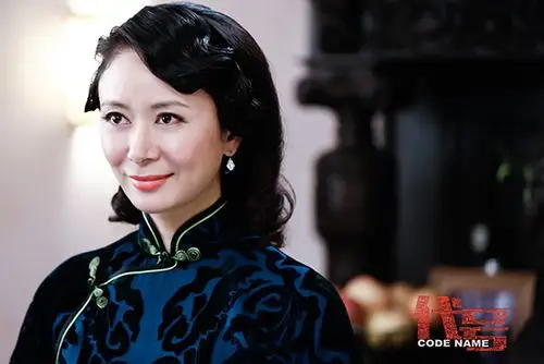 代号张恒妙计救弟治夫被赞九窍玲珑心