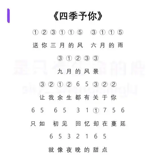 光遇琴谱《四季予你》