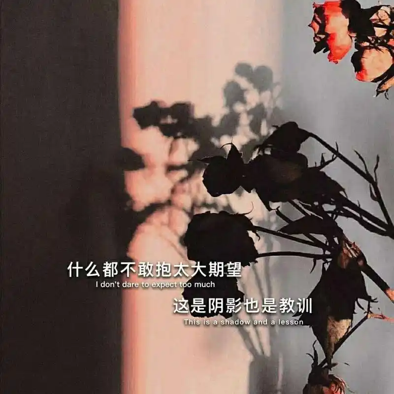 伤感的文案背景图 文案背景"你这么成熟懂事 应该没什么人疼吧"