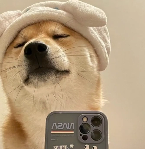 5月11日 22:50   关注  沙雕头像 评论 收藏