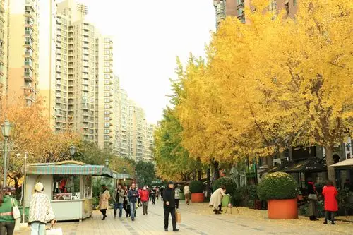 上海市长宁区黄金城道商业步行街,摄影:平向阳 - 美篇