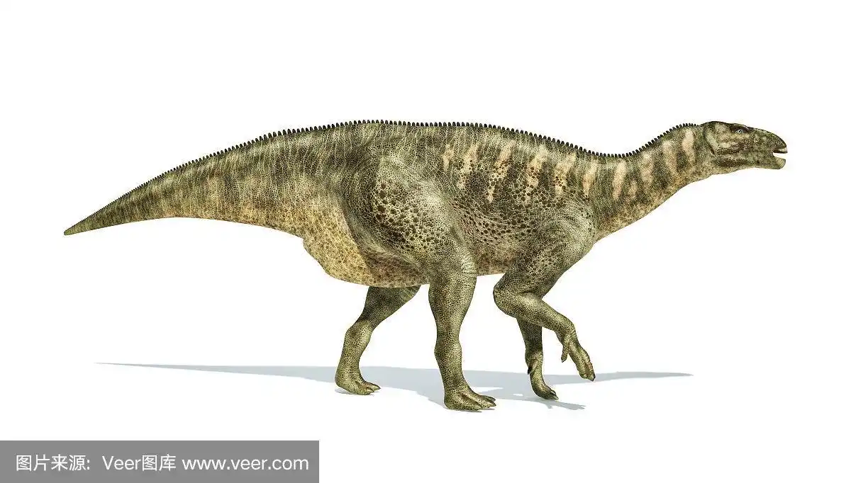 禽龙恐龙的逼真表现,侧面视图.