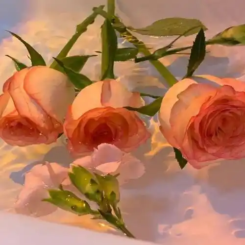 背景图 | 好看实用的微信背景图