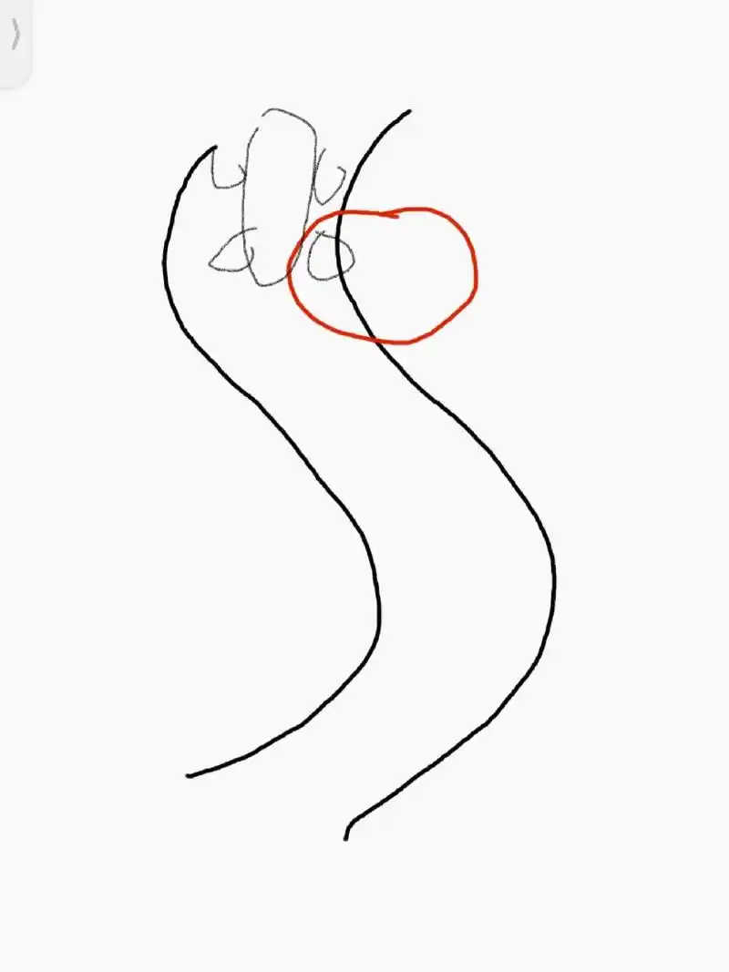 刚开始练的时候s弯还不会压线.