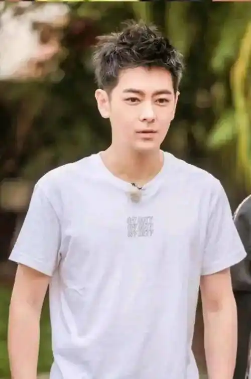 林志颖的个人简历