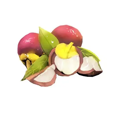 卡通手绘水果山竹系列插图元素