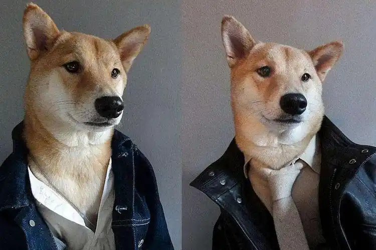 单身狗行走的摇钱树