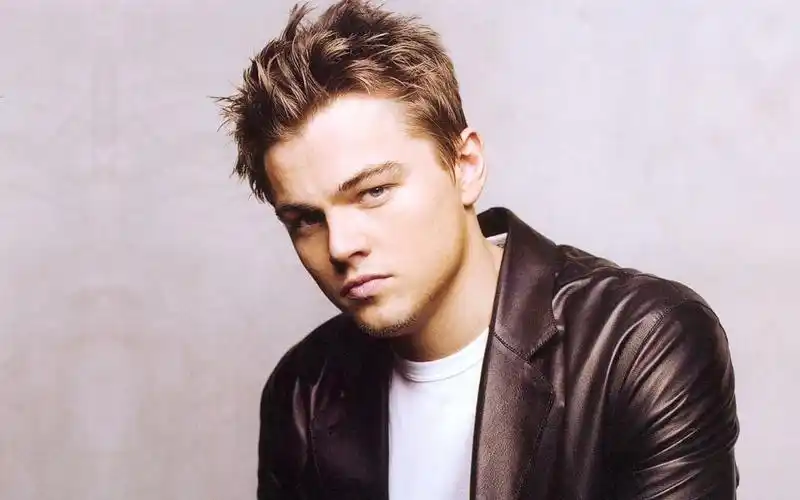 莱昂纳多高清壁纸1920x1200