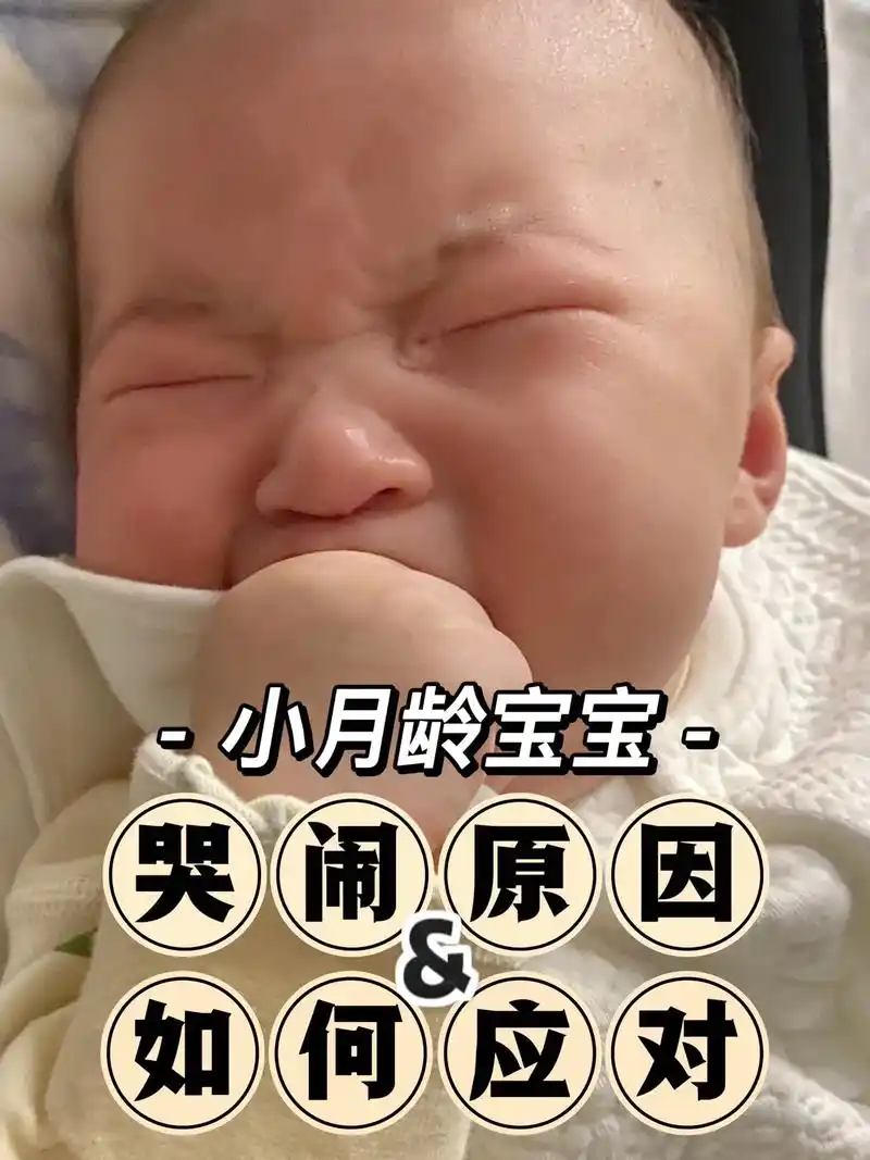 人类幼崽说明书95 教你读懂宝宝的哭闹声.