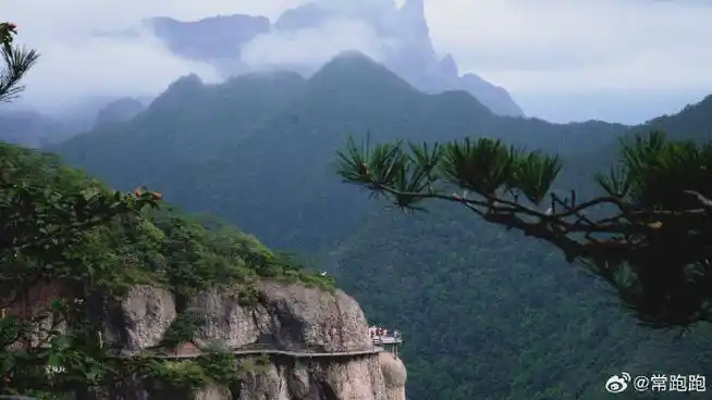 在看遍"观音,如来,天姥峰,云海,飞瀑,蝌蚪文"六大奇观,走在"佛影莲韵"