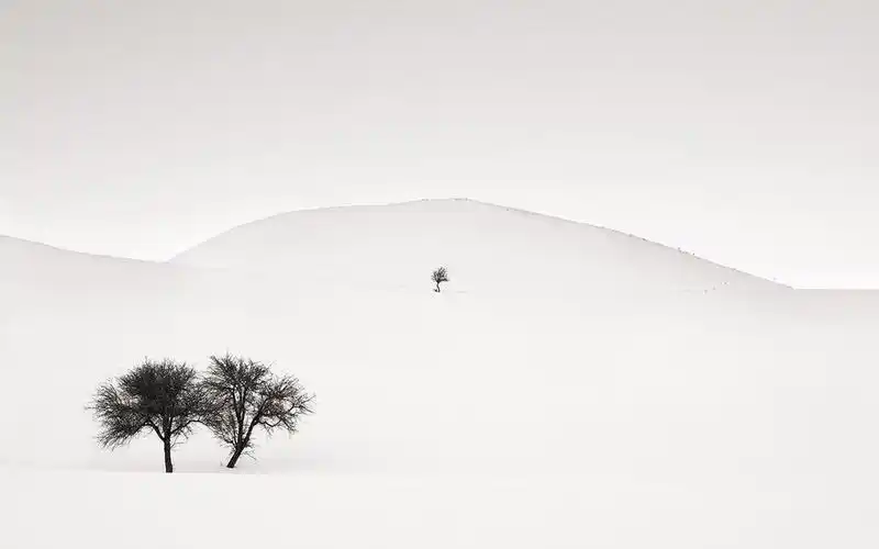 极简苍凉自然风光创意摄影高清壁纸