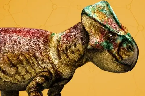 微角龙:蒙古小型恐龙仅长60厘米/最原始的角龙 - 吐客网