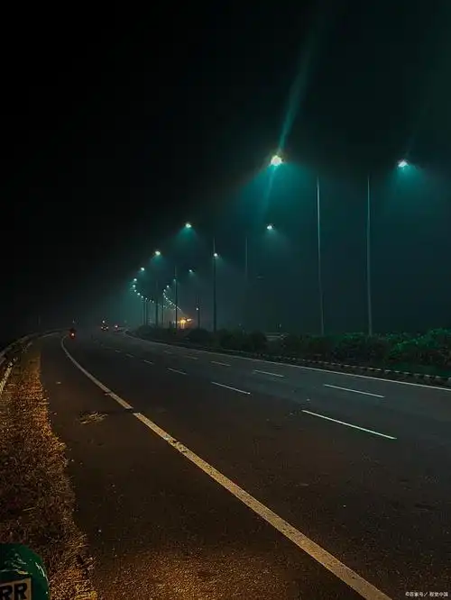 寂静的夜晚笼罩着整个街道,只有几盏路灯孤单地闪烁着微弱的光芒.