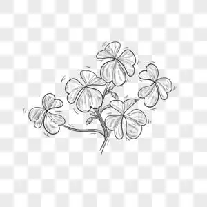 黑白线条植物四叶草图片素材