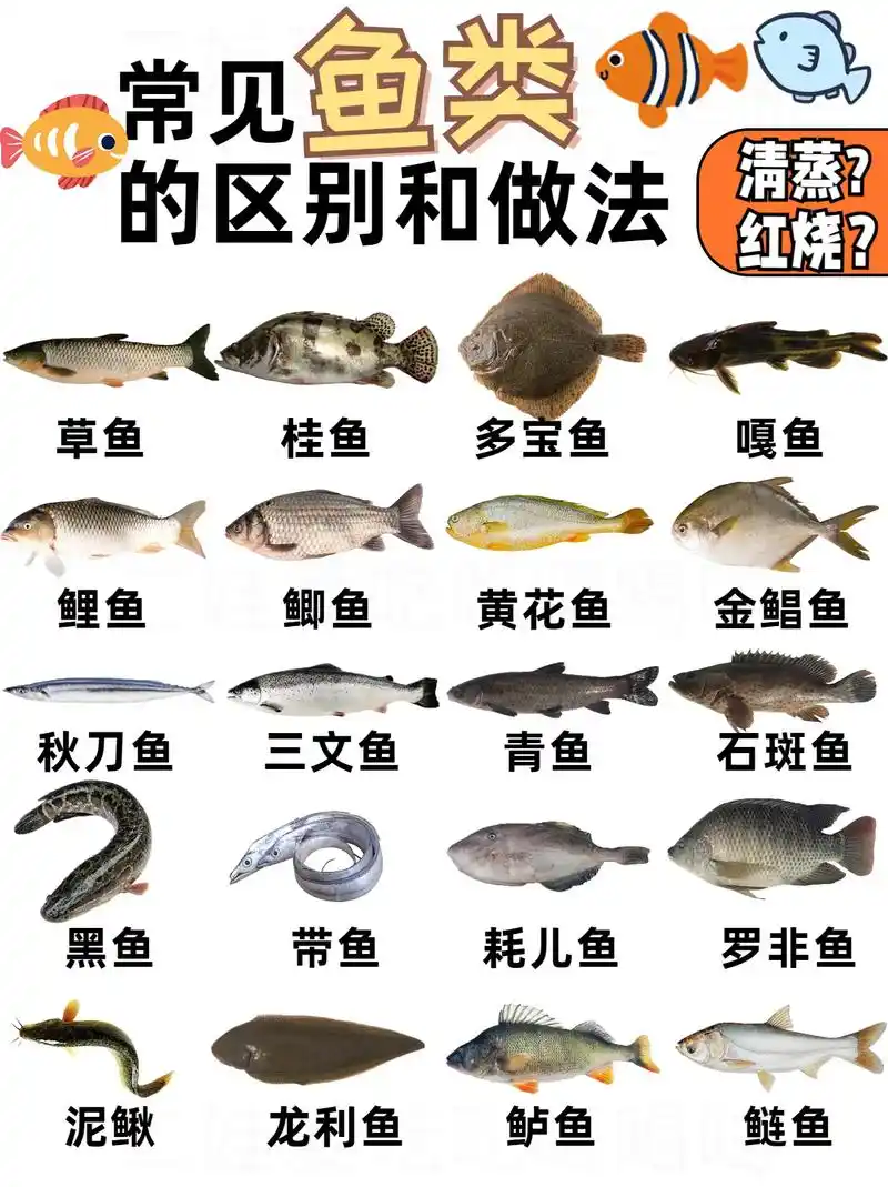 喜欢吃鱼但讨厌刺多 - 抖音