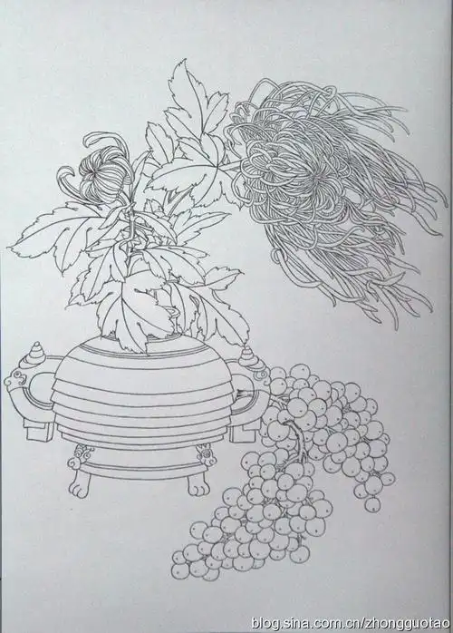 【线白描】精彩工笔线描图谱之《葡萄》!