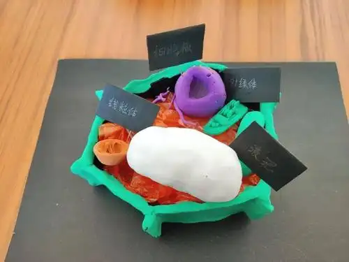 真核细胞的结构模型此模型由细胞膜,细胞核,内质网,高尔基体,线粒体