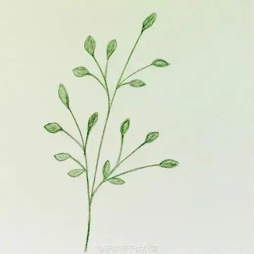 花边简笔画彩铅