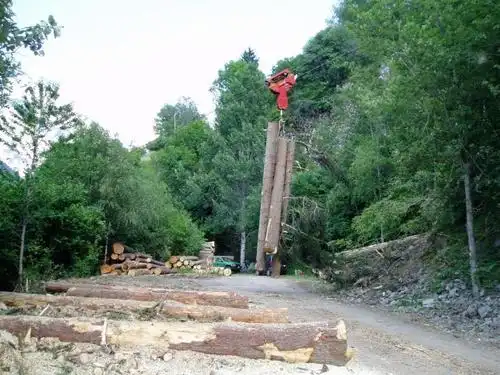 集材-集运, 空中索道, wyssen