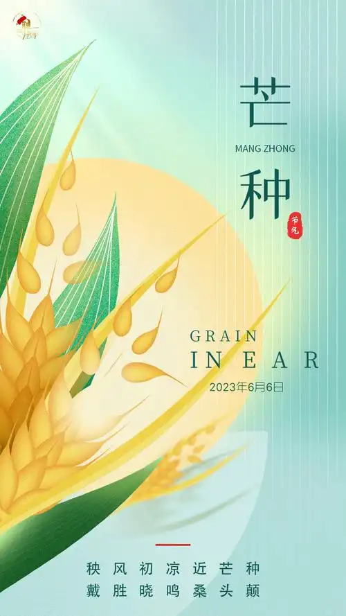 今日芒种 | 课本里的芒种是这样的_节气_太阳_家家