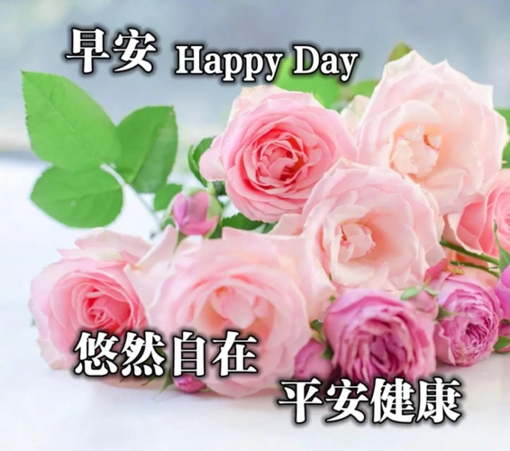 原创早上好图片大全最美图集早上好祝福语短句子