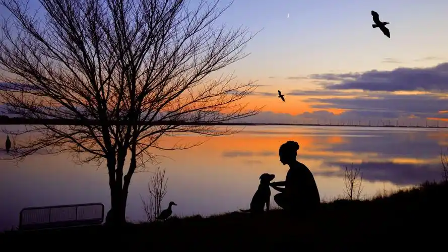 唯美人物剪影图片大全(6/11)