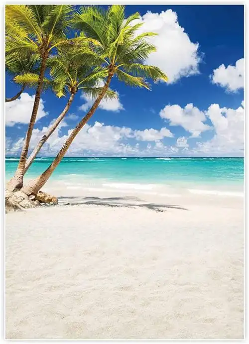 热带海边海滩背景夏威夷岛棕榈树摄影背景适合男孩女孩成人肖像度假