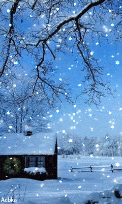 你说冬日里雪景最美我说风雪中的你最美