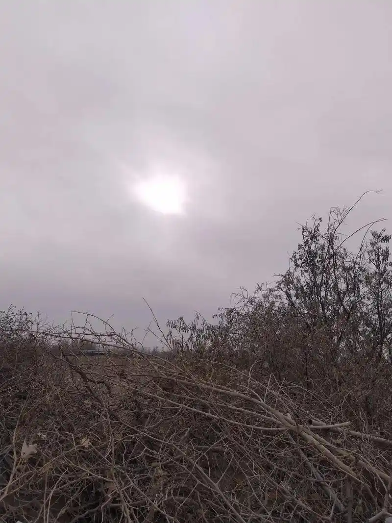 阴冷的天气就像我此刻的心情,看不到希望的日子,每天都是阴天! - 抖音