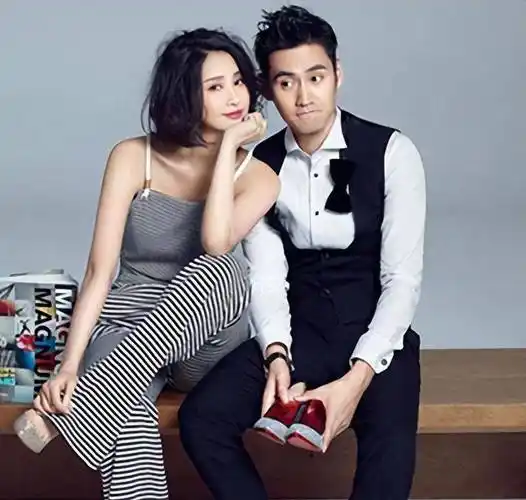 那年2004年,王志飞被小16岁的张歆艺吸引,回家就要和妻子分手_李健