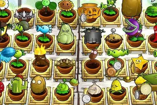 求植物大战僵尸所有植物的作用 我玩的iphone版