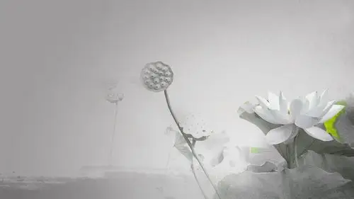 清新淡雅中国风绘画桌面壁纸_风格壁纸_壁纸下载_美桌网