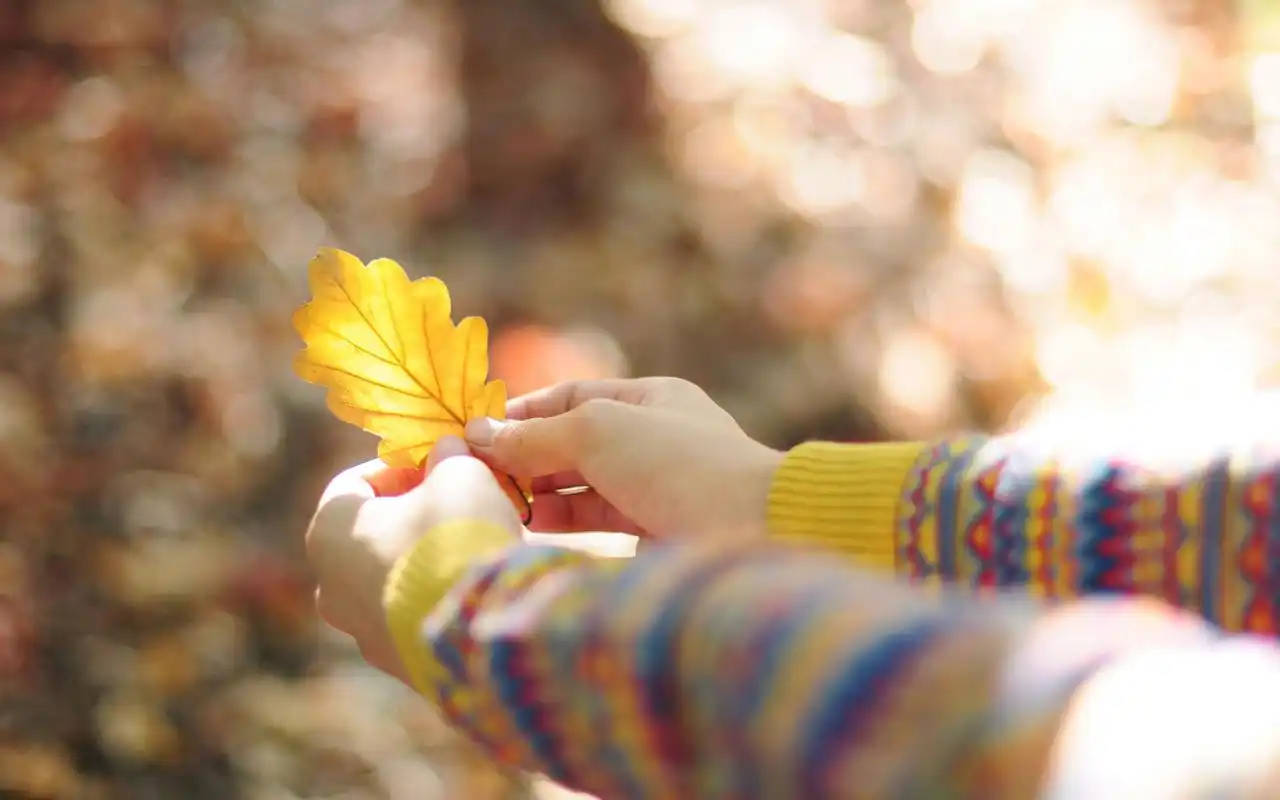 唯美的午后阳光温暖桌面壁纸