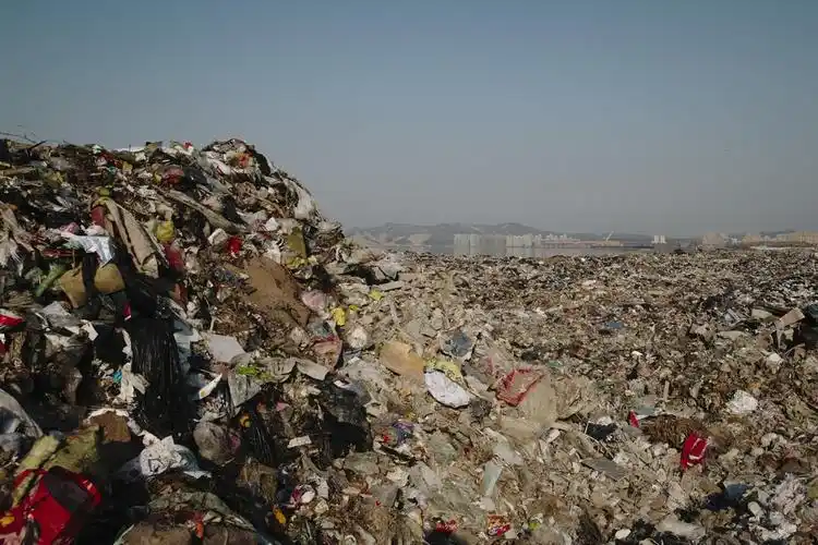 地球的一半|废塑料:你是什么垃圾?