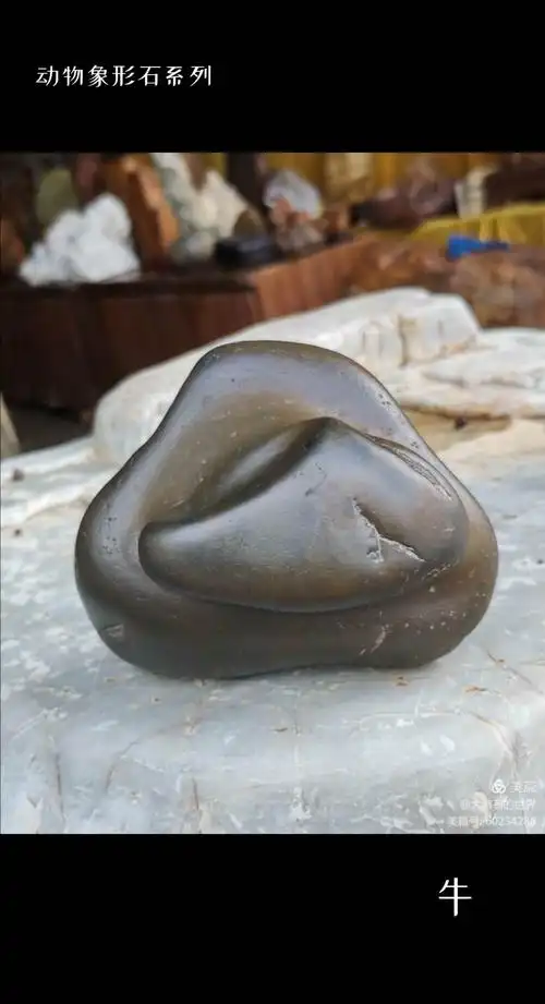 动物象形石典藏